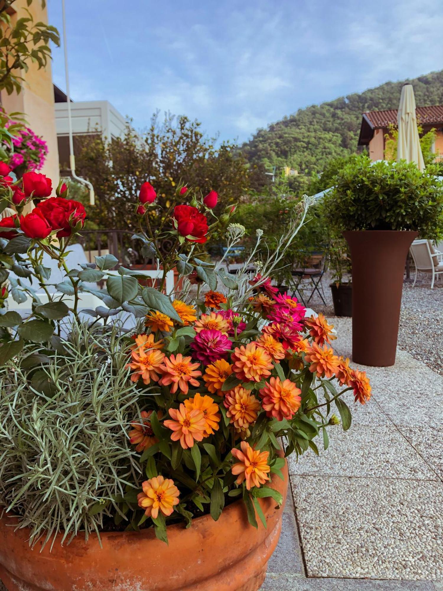 Hotel Antica Stallera Cannobio Kültér fotó